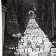 ACMfoto_0012